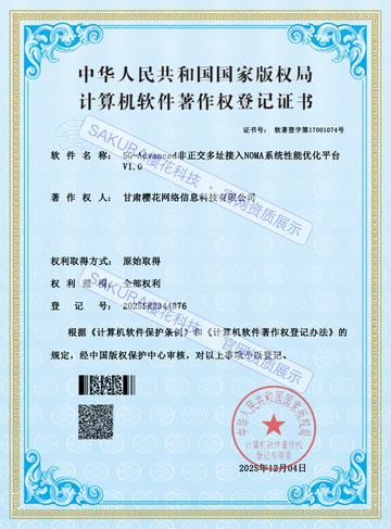 5G-Advanced 非正交多址接入 NOMA系统性能优化平台软件著作权证书